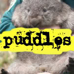 comador puddles's Avatar